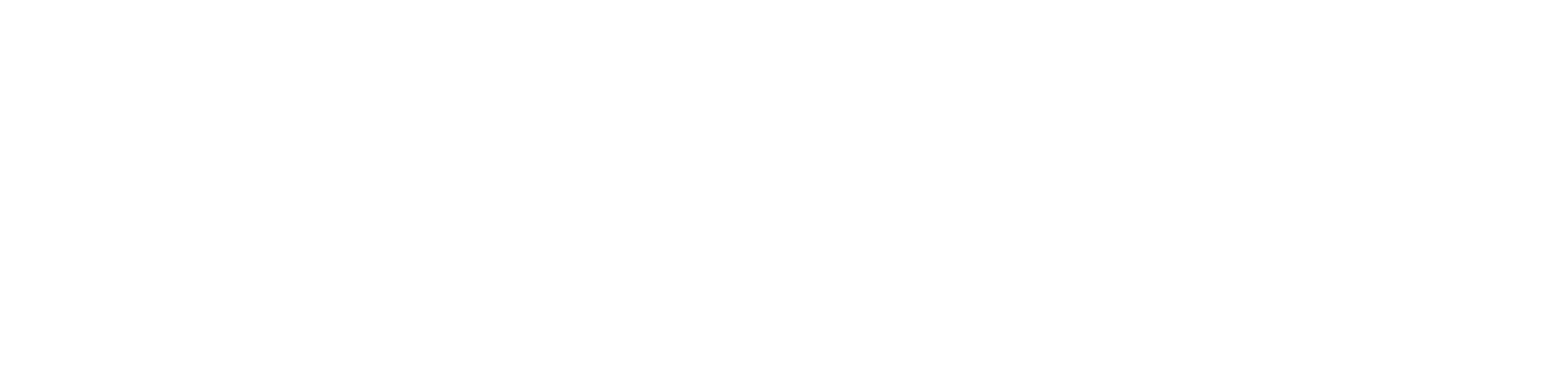 NT-242